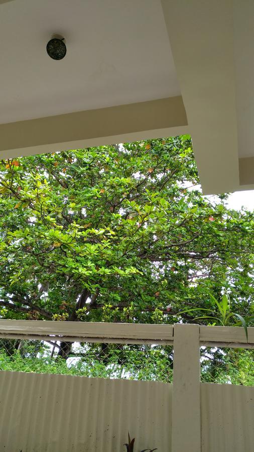 Manuela Resort Đảo Đảo Panglao Ngoại thất bức ảnh